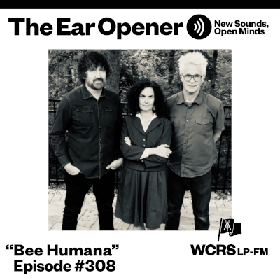 Sam Brown, Bee Shuman, and David Holm of Bee Humana