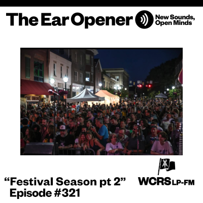 Crowd shot from the stage at a street festival. Night time.